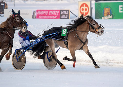 Vauhdikas-Venla voitti talvella Kuopiossa omistajansa Mertsi Blomeruksen ohjastamana.