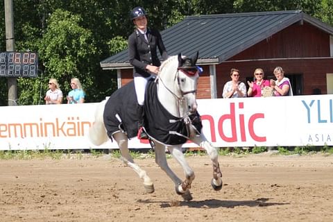 Hanna Tardiveau lähtee SM-kilpailuun kahdella hevosella. Kuvassa Prinz Clintus.