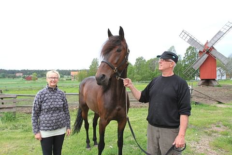Hevosurheilu esitteli Jeppas Maxin Toukokuun 2014 Kuukauden hevosena. Kuvassa Pia ja Robert Ekström.