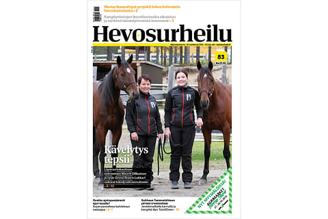 Maarit Ollikainen: ”Hevoset kävelykouluun”