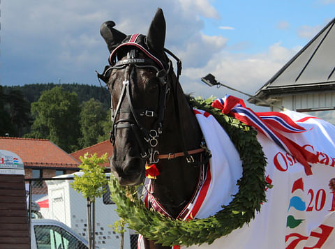 Your Highness seppelöitiin Oslo Grand Prix'n 2016 voittajana.