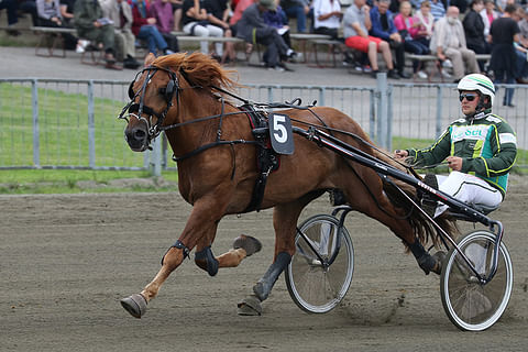 Neljästi kuninkuuskilpaan osallistunut Vixen hyvästeli kilparadat – ”Merkityksellinen hevonen oman urani kannalta”