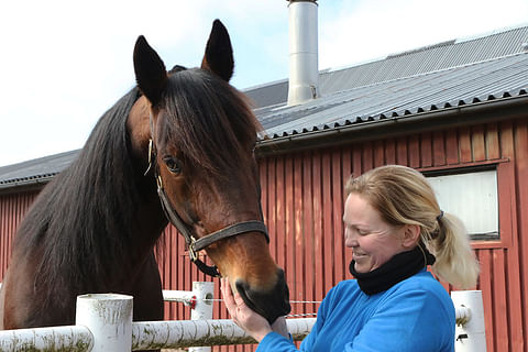 D.D.'s Hitmanin hoitajalla Laura Myllymaalla on täysi luotto hevoseen.