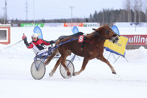 Kimmo Määttänen sai tuuletta Piskon Poudan voittoa talvella Lappeenrannassa. Vahvan tamman uskotaan nousevan Kuopiossa korkealle.