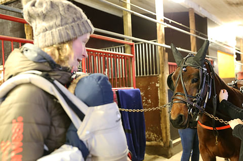 Tampereen Raviliigojen omistajat tapasivat hevosensa