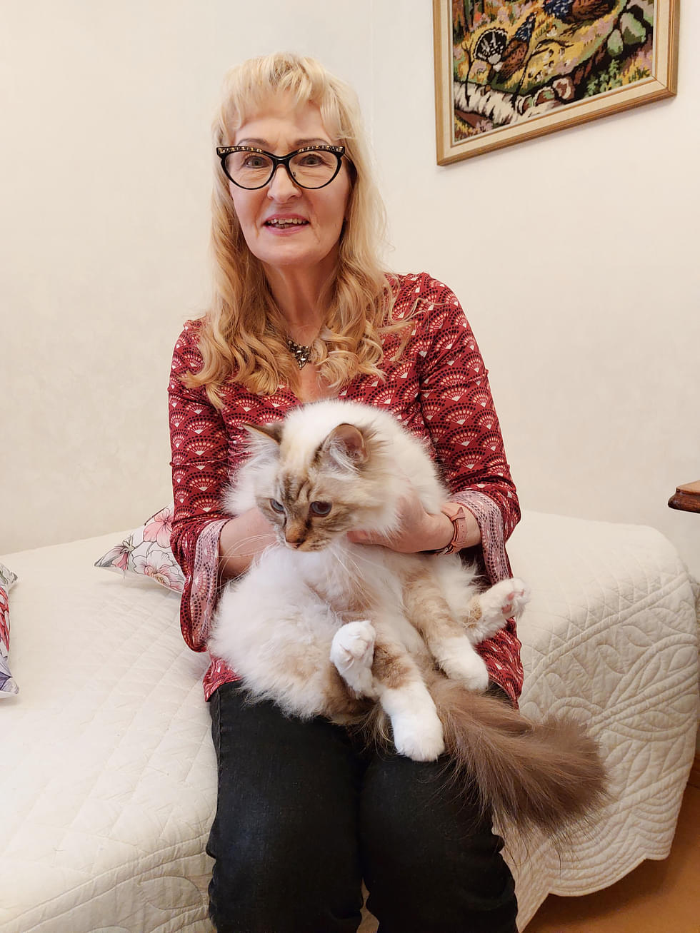 Merja Schiavonen Luna-kissa on pian kolmevuotias pyhä birma. ”Se on suloinen terapianappulani”, Schiavone sanoo.