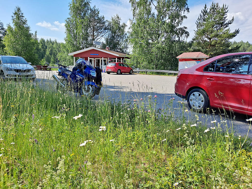 Kesässä liikkujia on monenlaisia.