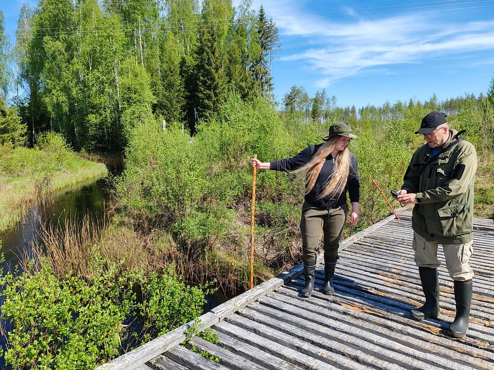 Meeri Partanen ja Tarmo Tossavainen tekivät toukokuussa perusteellisen maastotarkastelun.