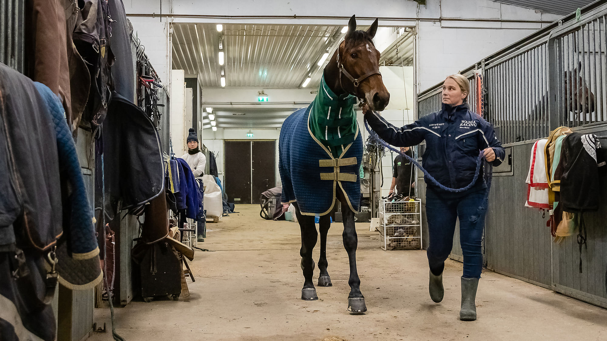 Hevosurheilu tapasi Tetrick Wanian Riina Rekilän kotitallilla vähän ennen sen myyntiä.