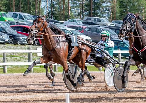 Janne Räisänen on ajanut Cazadorin vuoden voitoista 10 ja valmentaja Teuvo Nikulainen 2.