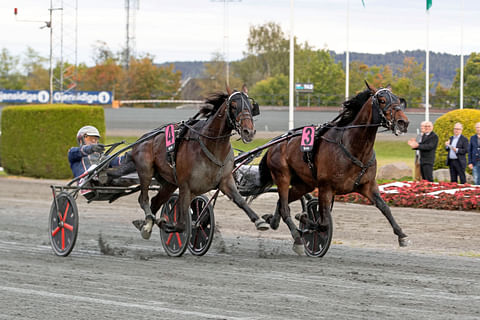 Kräsj (4) kilpailee lauantaina ensi kertaa sitten derbyn, jossa Magnus Teien Gundersen kannusti sen voittoon.
