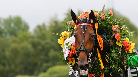 Mascate Match hurmasi kilparadoilla. Pian on jälkeläisten vuoro astua areenoille.