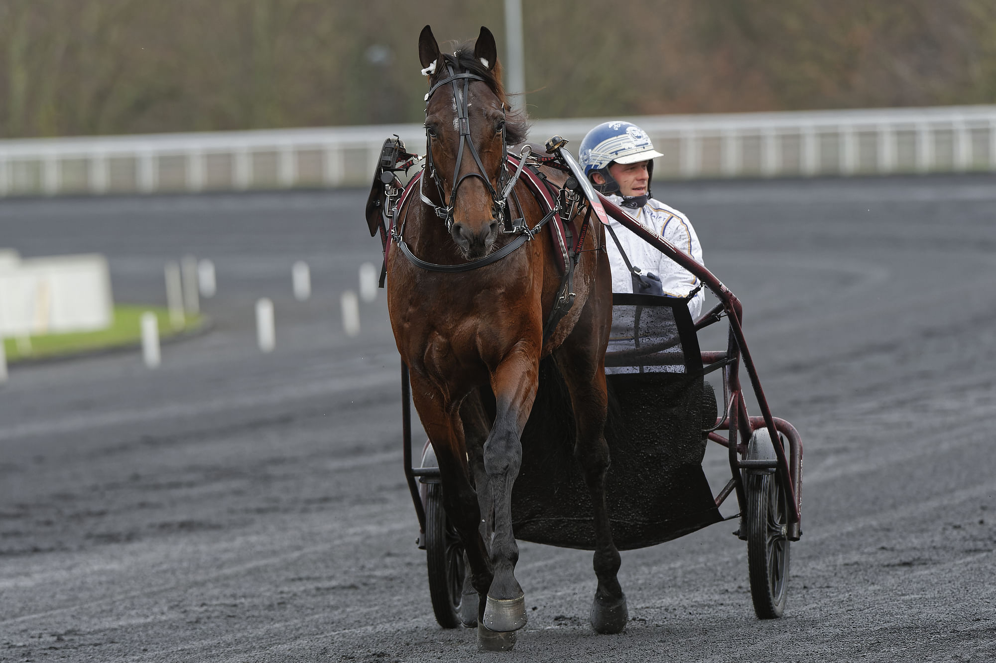 Philippe Allairen valmentama Hohneck.