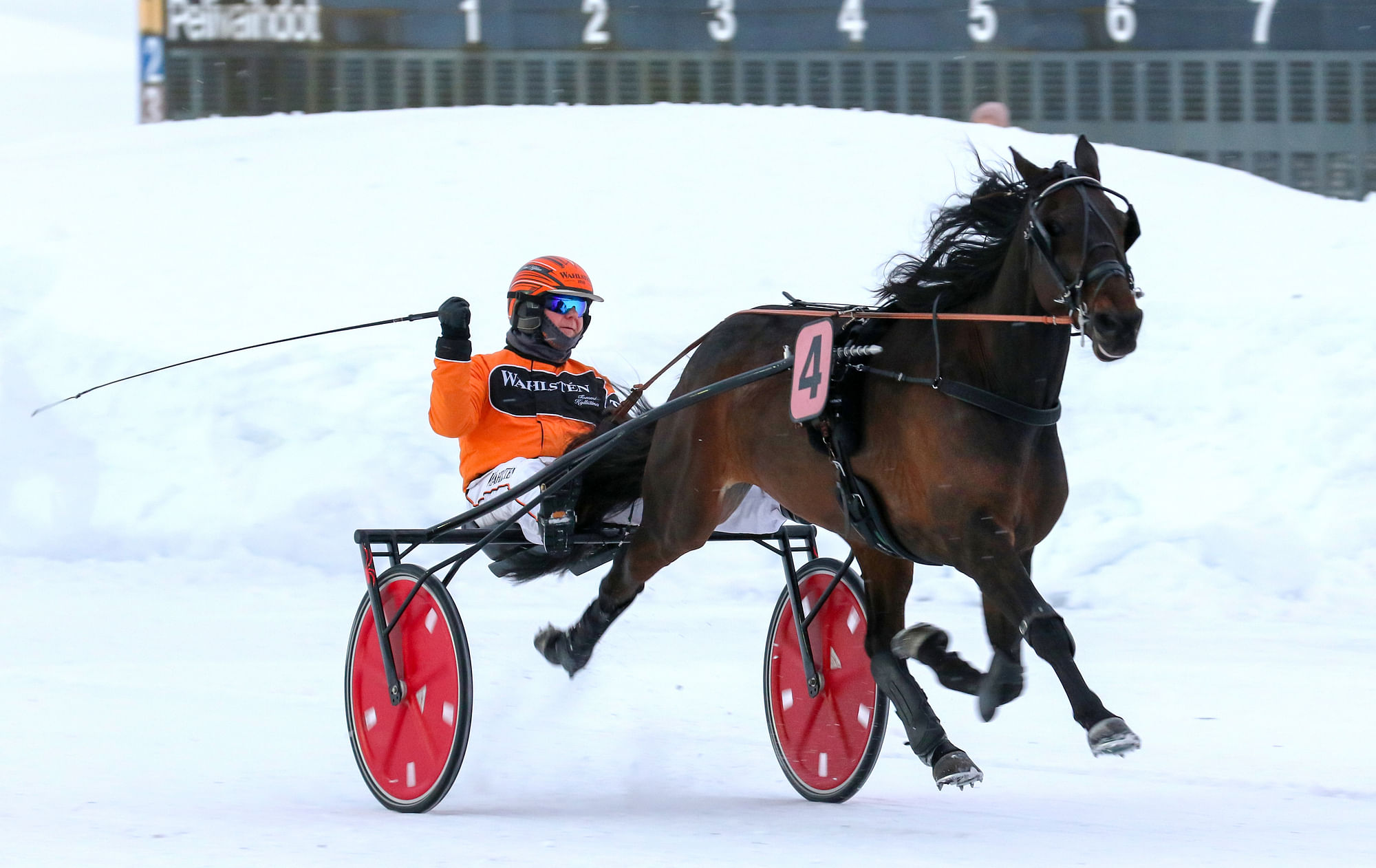 Tommi Kylliäinen intoutui tuulettamaan Knows Bestin karatessa ylivoimavoittoon.