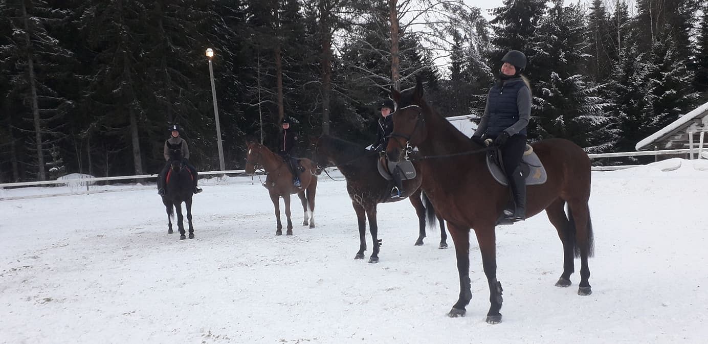 Mukana treeneissä oli peräti 7 Jauhiaisten omaa kasvattia. Tässä Anastasia KS -tamman 4 varsaa: For Morning Pleasure, Zachary, HR Stanley ja HR Duenastasia.