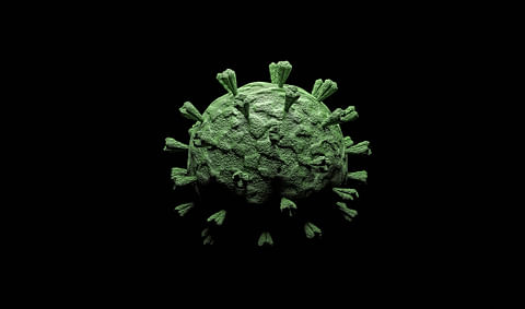Herpesvirus on ehtinyt Kaliforniaan.  FEI:ssä mietitään, mitä vuosi sitten Euroopassa tapahtuneesta epidemiasta voisi oppia. 
