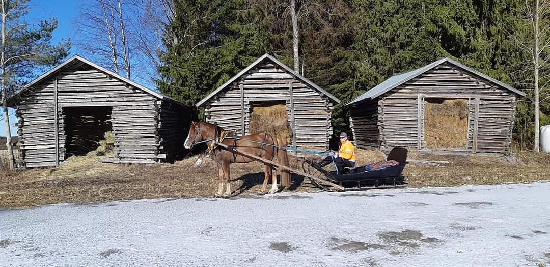 Estemestari on kiva pistää välillä reenkin eteen.