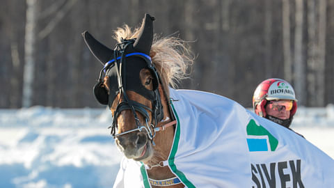 Ennenkin talvikelillä yllättänyt Walene on toinen avauskohteen ideahevosista.