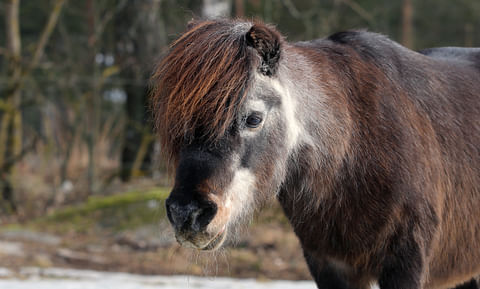 Ivrig, keväällä 2022. 