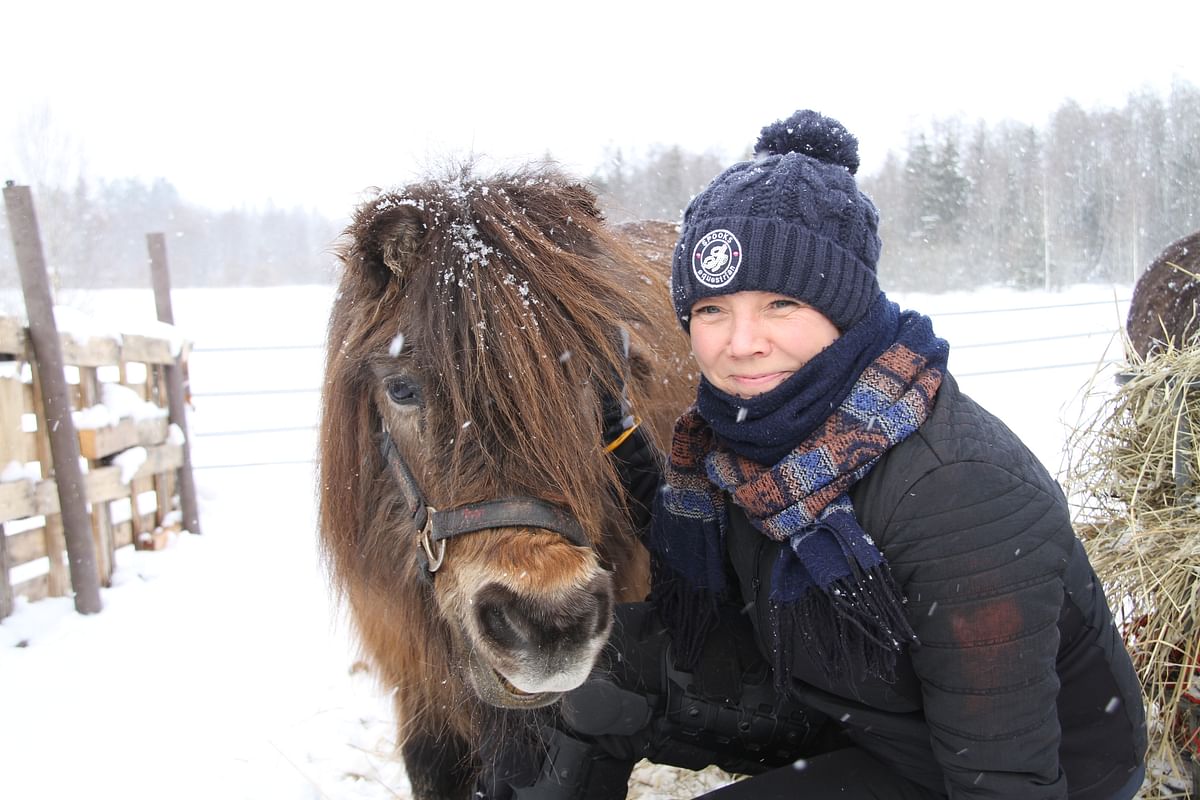Mari Similän tallissa asuu edelleen hänen ensimmäinen poninsa, vuonna 1985 syntynyt shettis Daisy. 