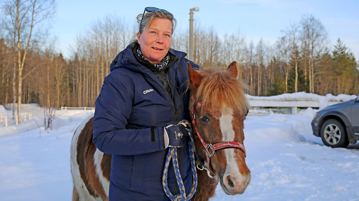 Maurus on Katariina Pajarin unelmien kirjava poni. Se oli hänen ensimmäinen tuontihevosensa Virosta.