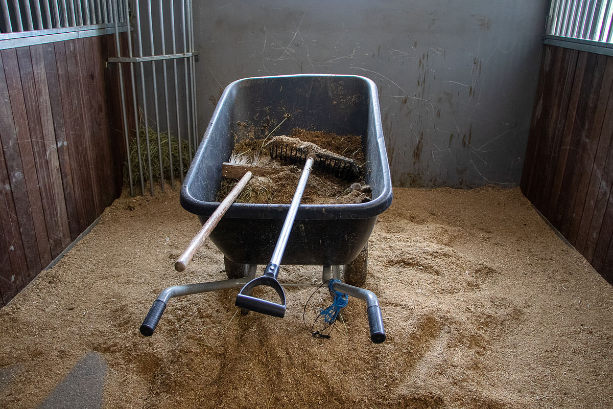 Karsinoiden siivoaminen voi hevosalalla haukata ison osan työajasta.