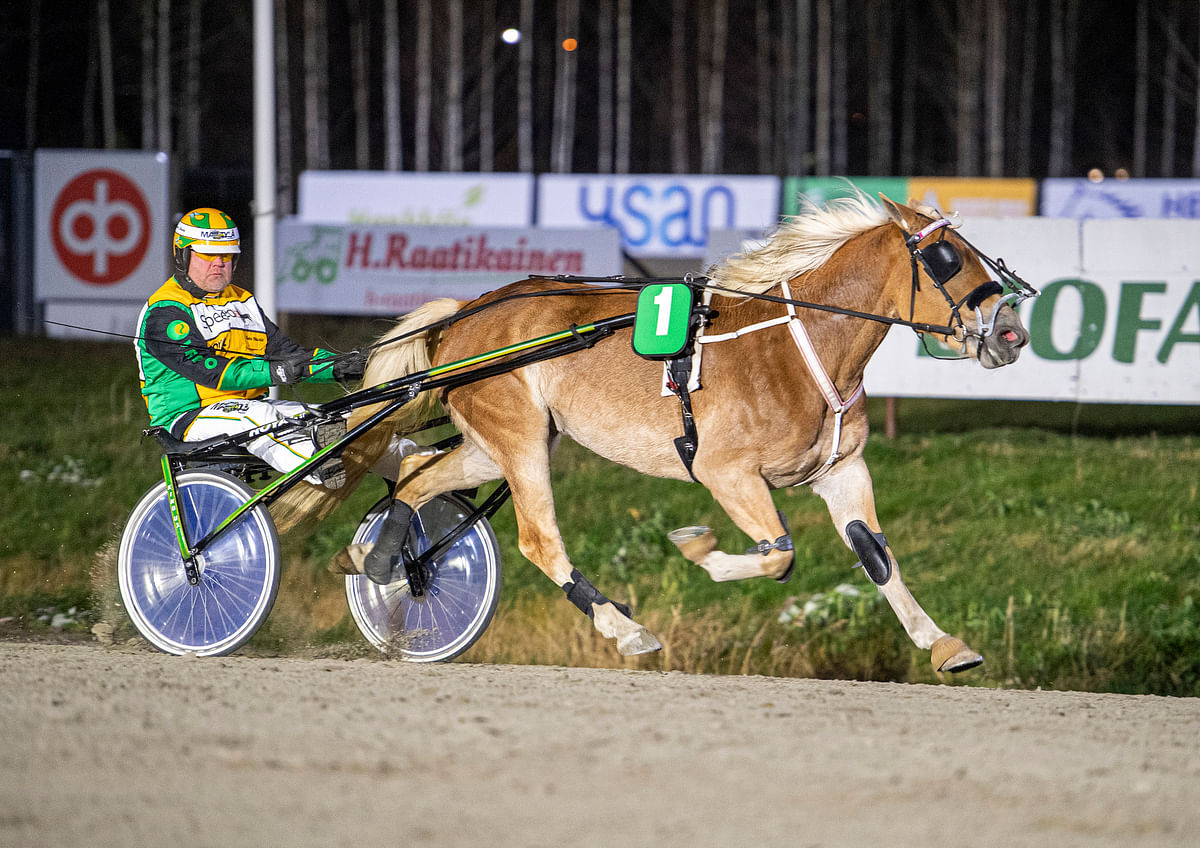 Hentun Liisa päätti tappiottoman 3-vuotiskautensa Varsakunkun voittoon Kuopiossa.