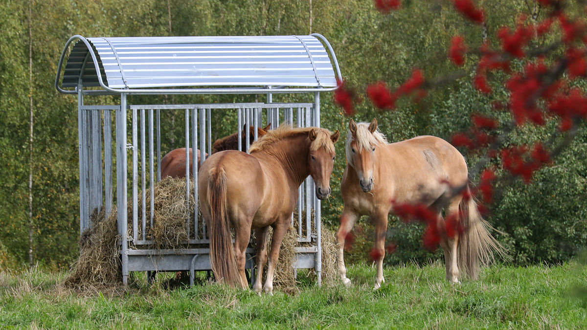 Tietoa hevosten ympäristövaikutuksista on vähemmän kuin muilta kotieläimiltä, mutta niihin kiinnitetään kasvavaa huomiota hevosten määrän lisääntyessä. 