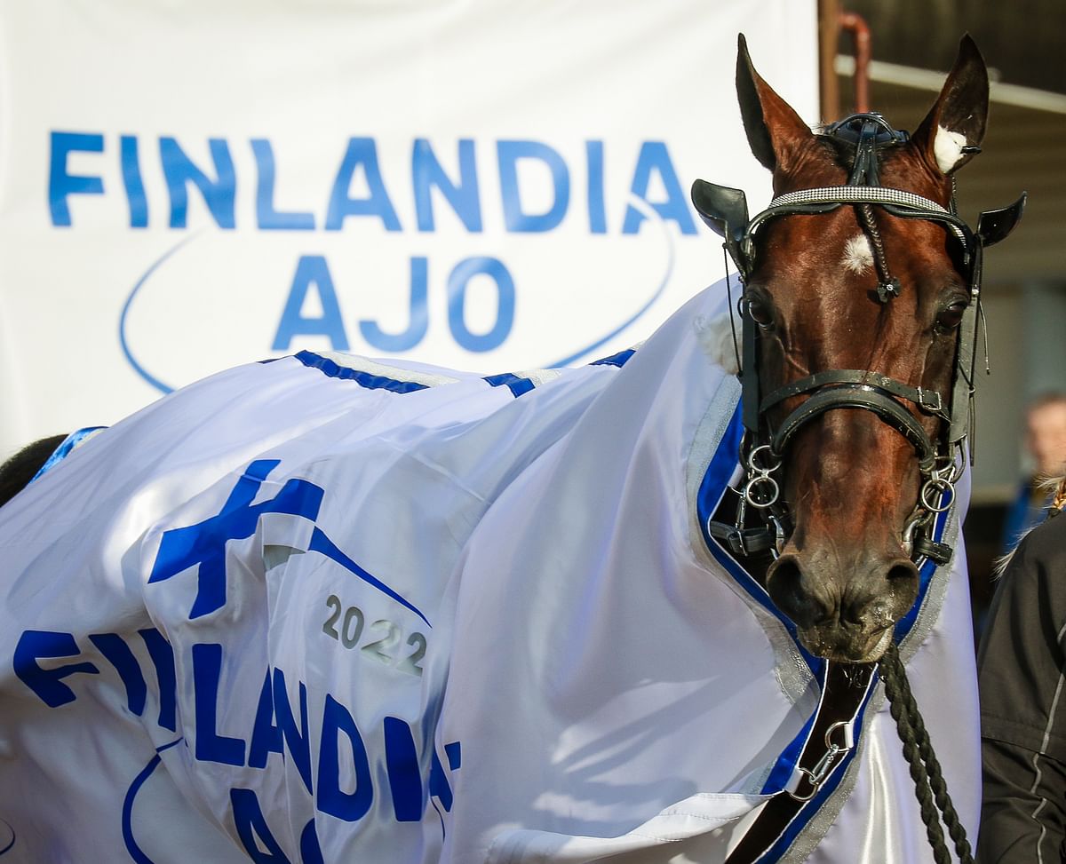 Don Fanucci Zet voitti Elitloppetin vuonna 2021.