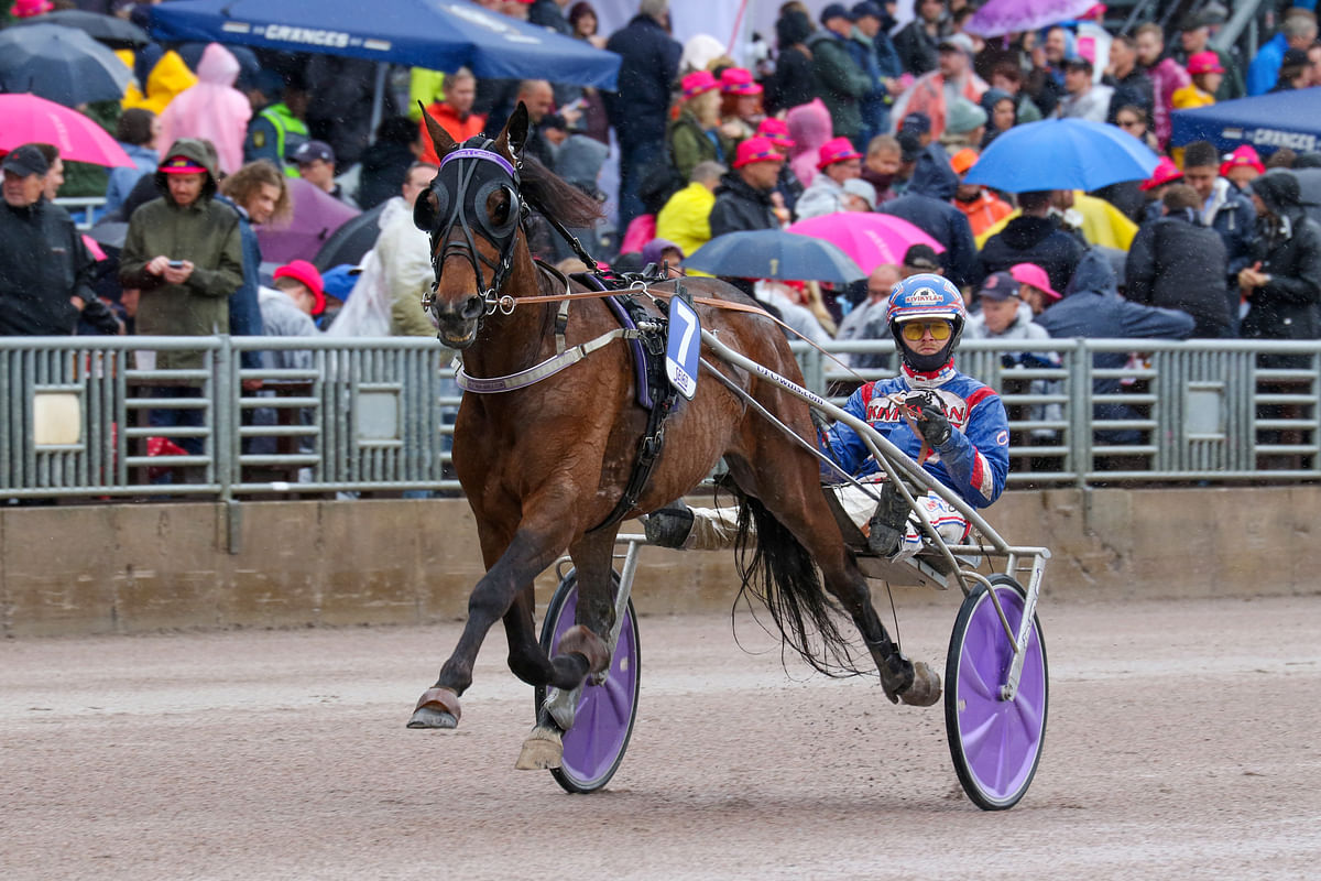 Jason´s Camden kilpaili viime kesänä Sweden Cupissa. Kuvassa hevosta ohjastaa Olli Koivunen, mutta keskiviikkona rattaille hyppää Santtu Raitala.