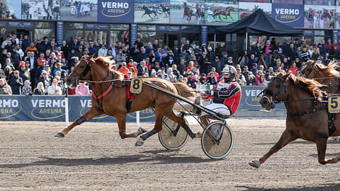 Vappupäivänä Vermossa kolmanneksi kirinyt Välkyn Tuisku on voittanut urallaan jo 29 kertaa.