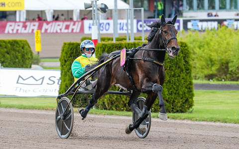 Vivid Wise As oli Torinon ykkönen. Kuvassa sen lennokasta menoa Solvallassa.