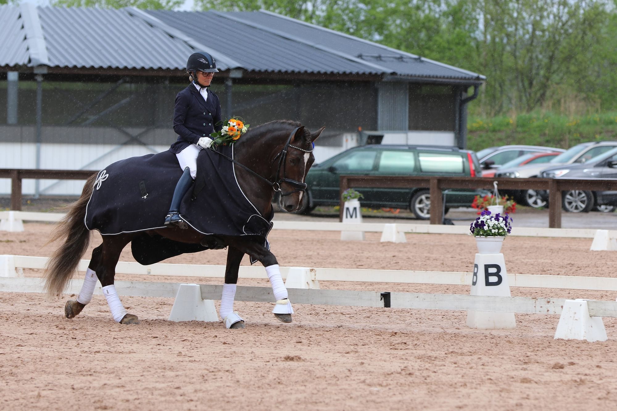 Kulta-ahon Kasimir, voittoisana Finnhorse-luokassa.