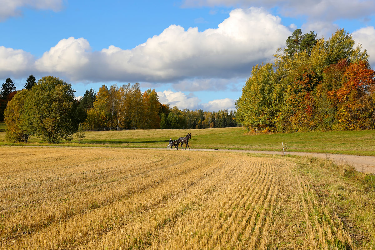 Näkökulma: Venäjän hyökkäyssodan vaikutukset hevosalaan Suomessa