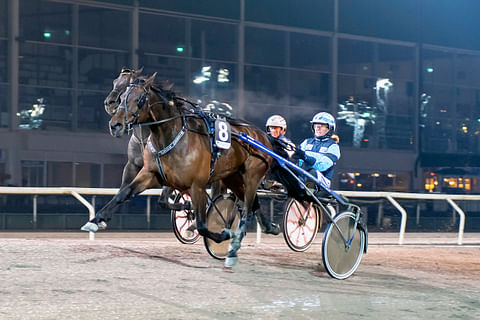 Hierro Boko siirtyy kuvassa hevosta ohjastavan Hanna Lähdekorven valmennuksesta Hannu Korven talliin.