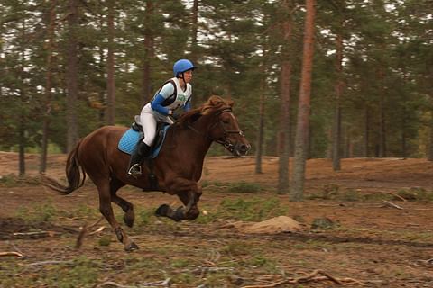 Tähti Ohjuksen maalliset laukat on nyt laukattu.