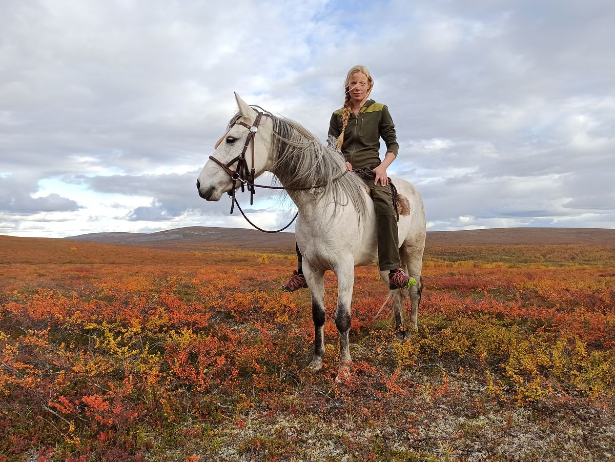 Tinja Myllykangas on kouluttanut mustangeista ratsuja.