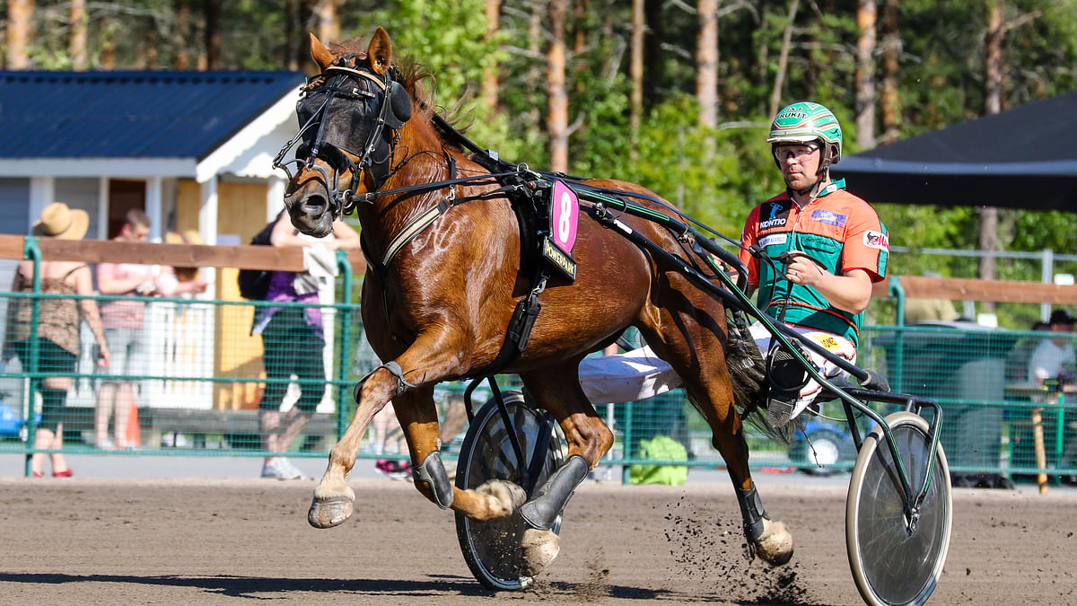 Hetviina ja Antti Tupamäki.