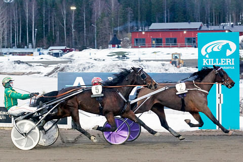 Killerillä ravataan loppiaisena napakassa pakkasessa.