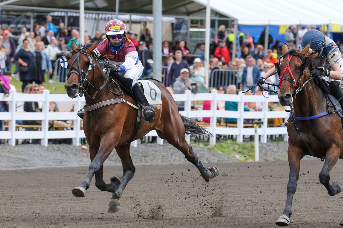 Janita Antti-Roiko ratsasti Hierro Bokon lämminveristen Montén SM-finaalin voittoon viime heinäkuussa.