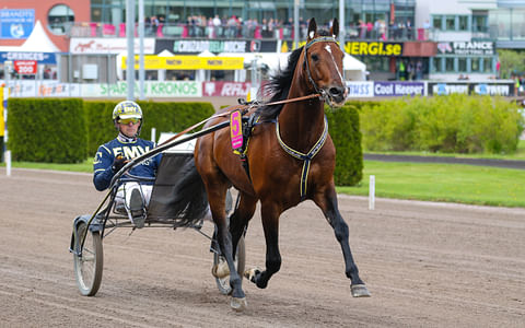 Night Brodde starttaa ykkösradalta 75-kolmosessa. 