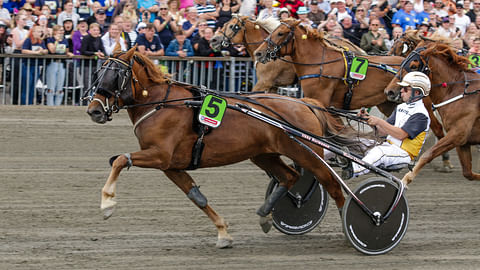 Hetviina sijoittui viime kesänä kuningatarkilpailussa Iikka Nurmosen ajamana kolmanneksi.