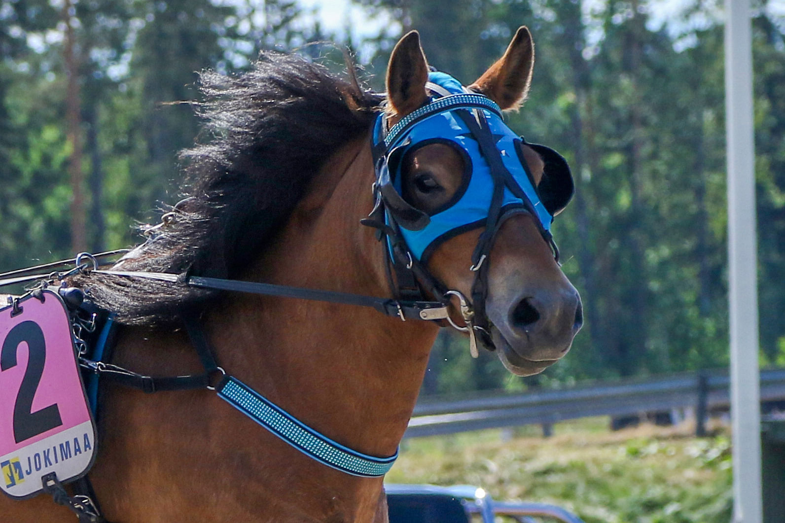 Kiperän Kepponen
