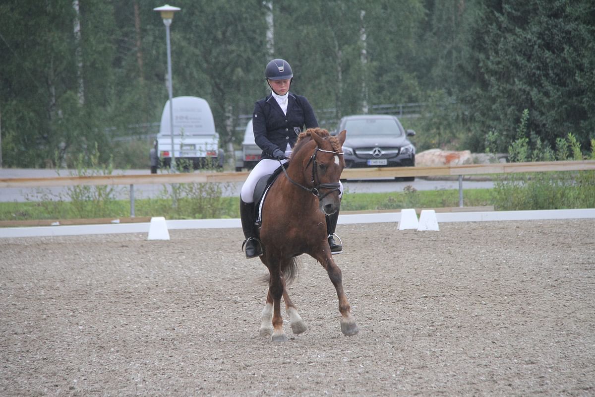Kilpailussa nähtiin myös suomenhevosväriä, kun Coco Roine ratsasti 20-vuotiaalla Sibbolla kokonaiskilpailun sijalle 7.