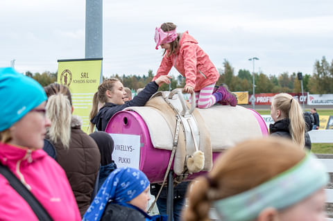 Ookkonää Hevostellu? – Koko perheen ilmaistapahtuma ylittää lajirajat Oulussa