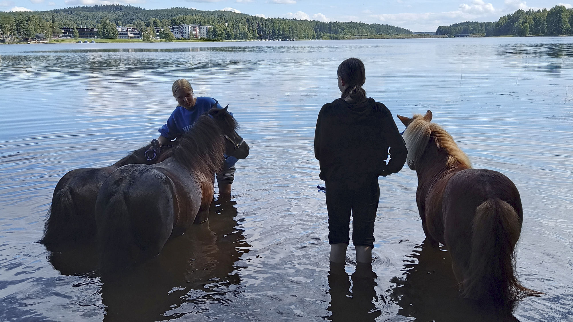 Leiripäivän ohjelmaan kuuluu myös hevosten uittamista.