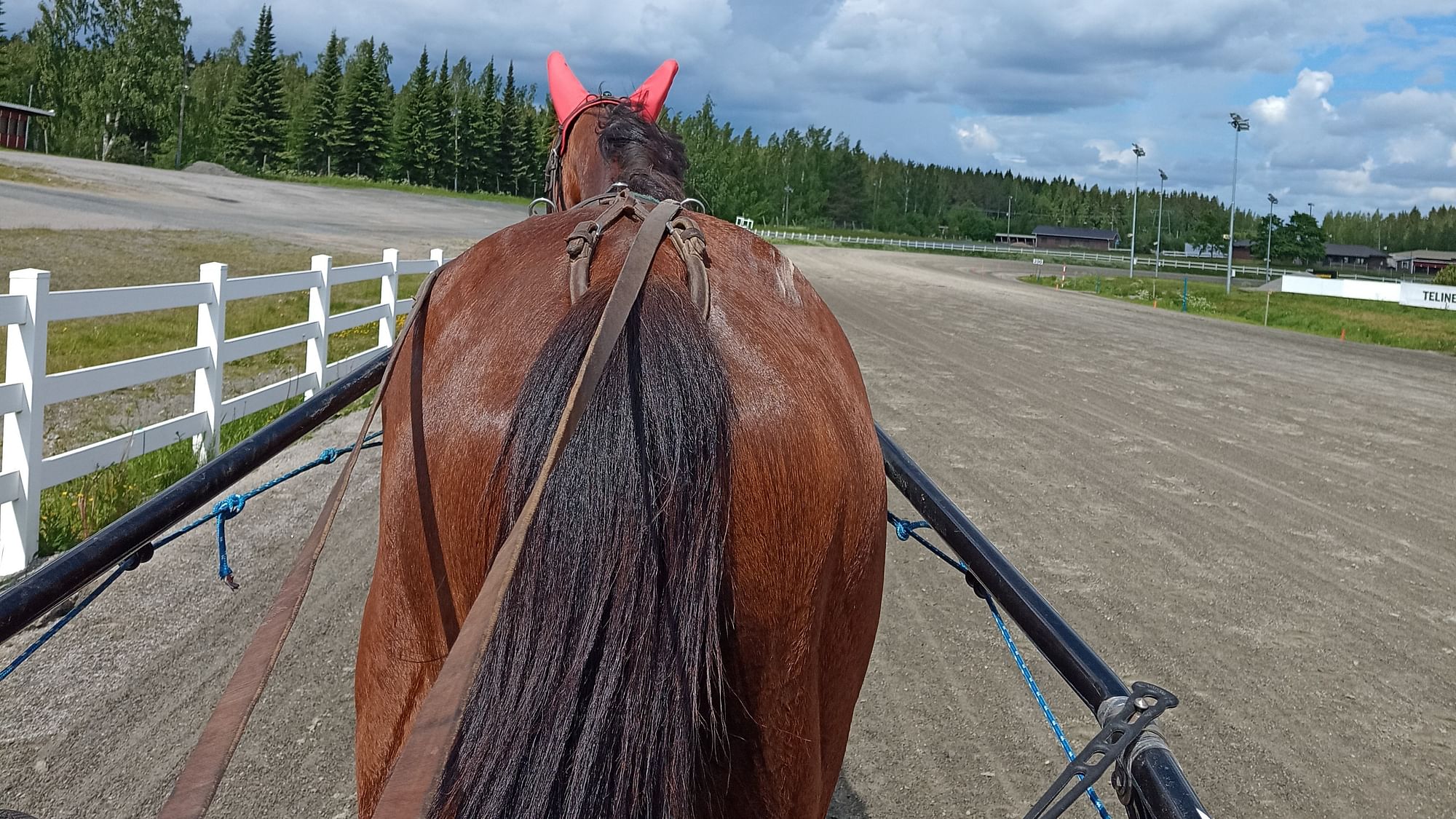Ravileirillä pääsee halutessaan myös ajamaan hevosella.