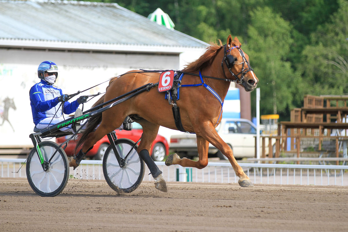Suvelan Roihu (kuvassa Jarmo Saarelan ajamana) on tiistairivin mielenkiintoisimpia hevosia. Neljännessä Toto5-kohteessa ruunalla on oiva mahdollisuus vetää lähdöstä maaliin.