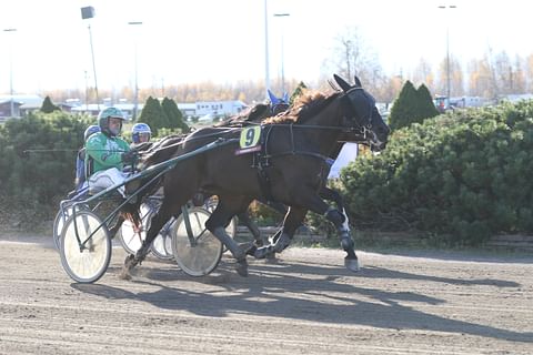 Sole Olee on aloittanut uransa huikealla statistiikalla.