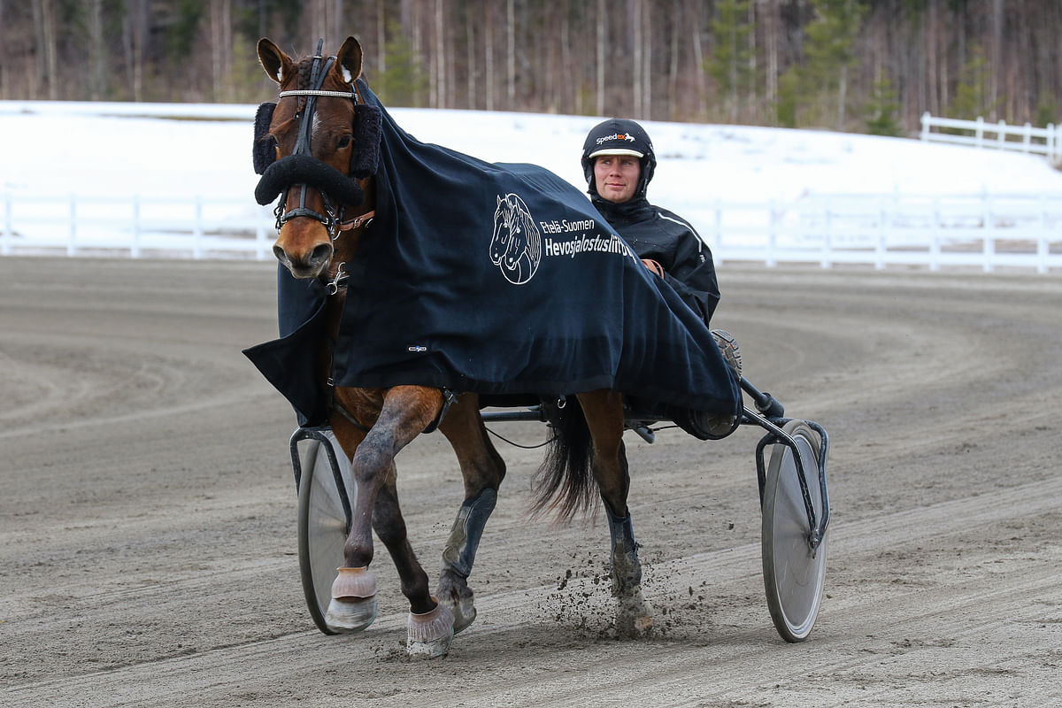 Savon Sisu ja Teuvo Nikulainen kiihdyttävät maanantaina ykkösradalta.